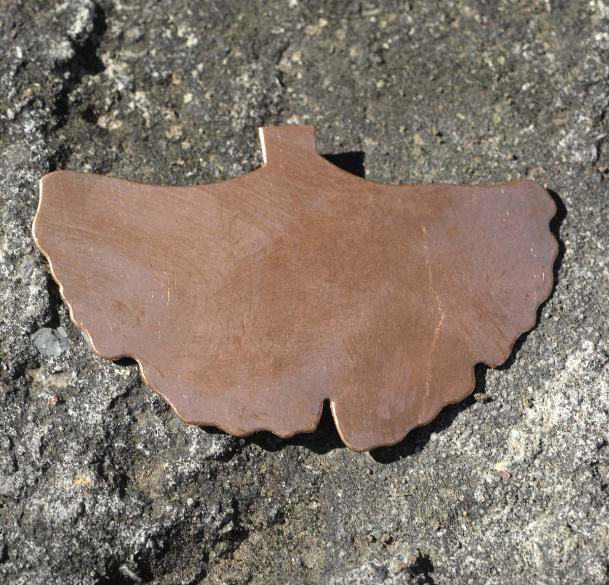Large Ginkgo Leaf, for Enameling Stamping Texturing Blanks