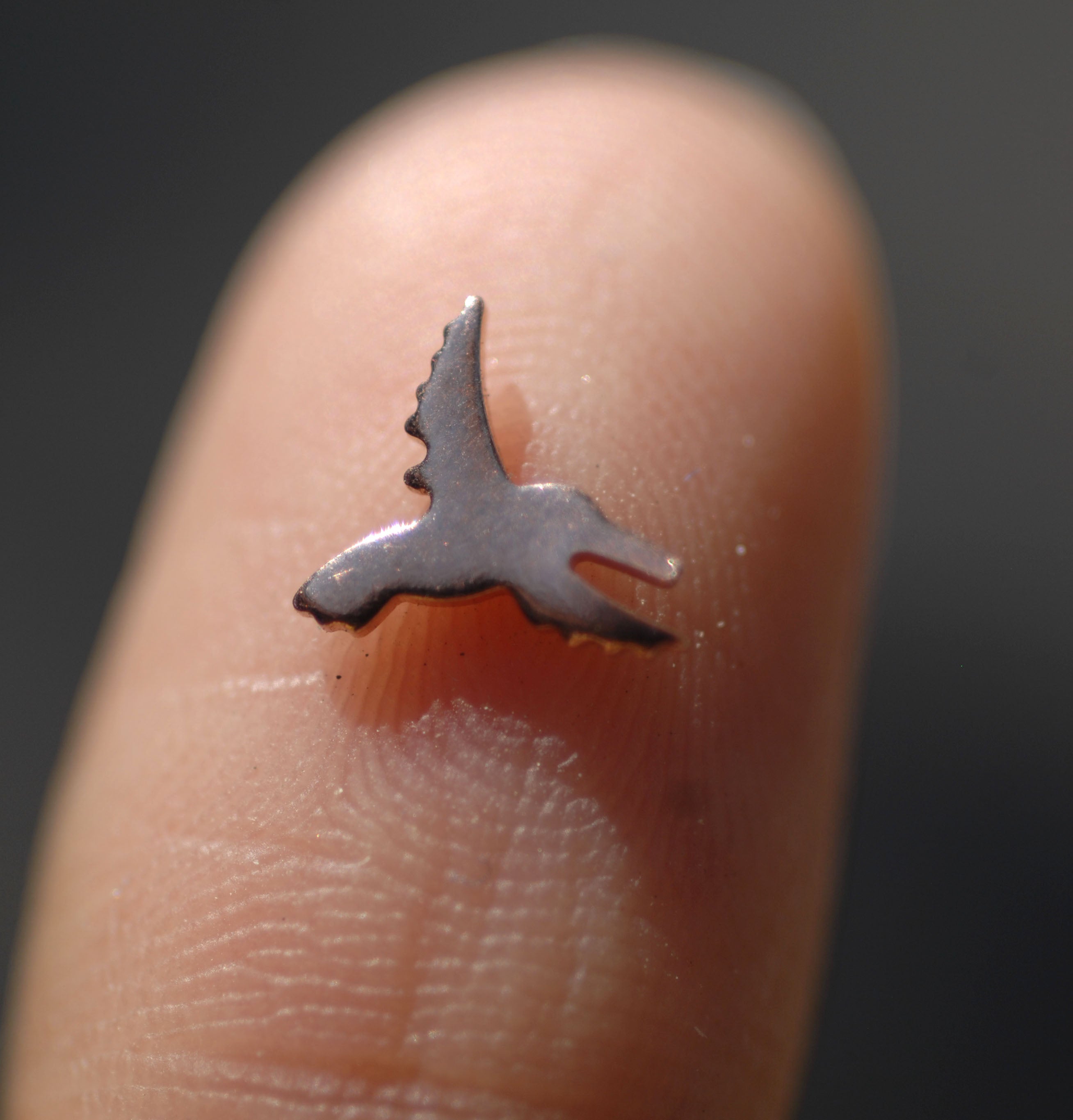Most Tiny Metal Hummingbird Mini Blanks