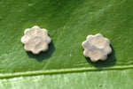 Hammered 5 Petal Flower Most Tiny Metal Mini Blanks 4mm x 4mm