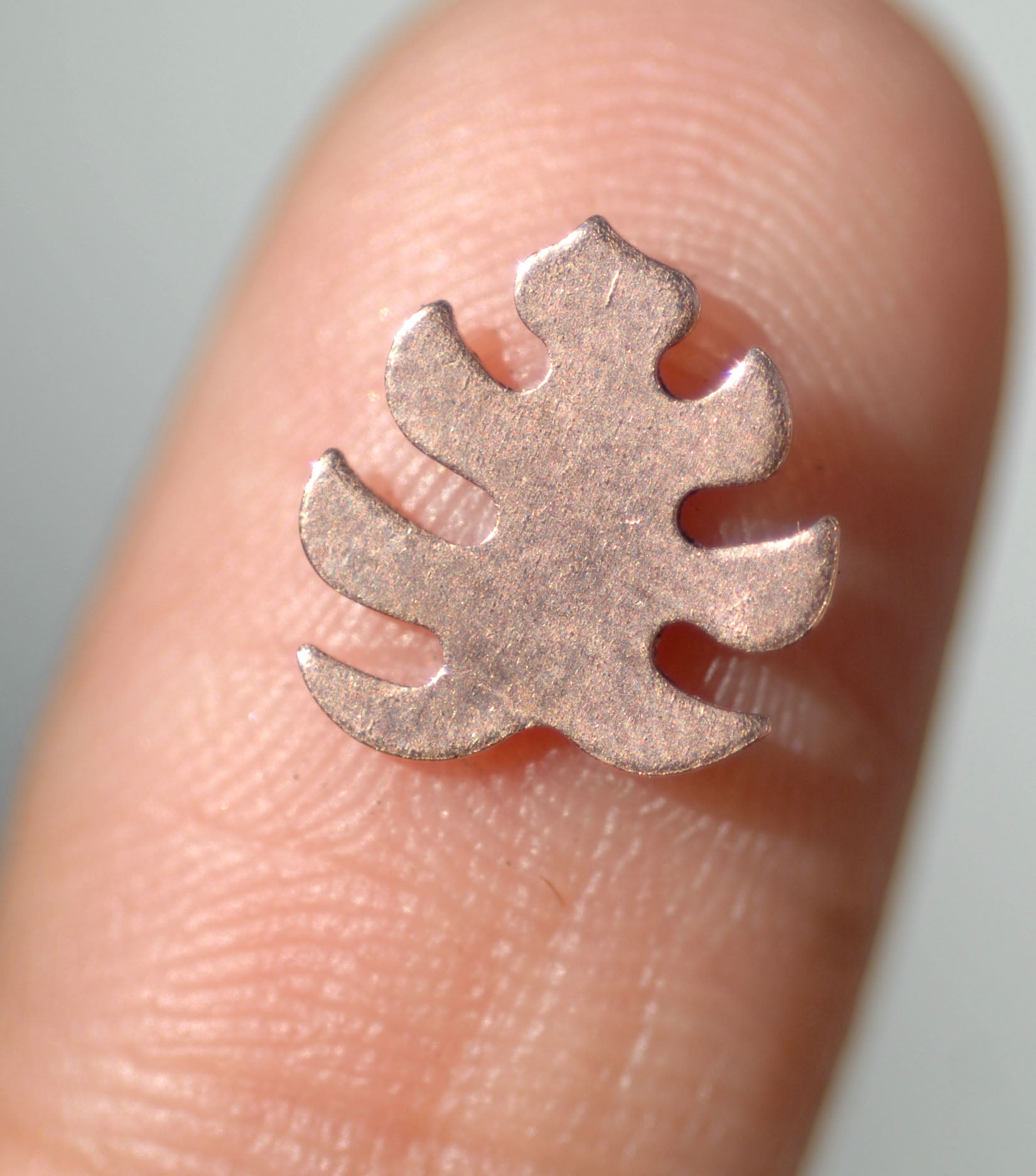 Most Tiny Metal Monstera Deliciosa Leaf Mini Blanks