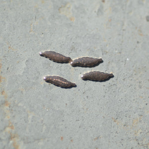 Most Tiny Metal Thin Long Leaf  Mini Blanks