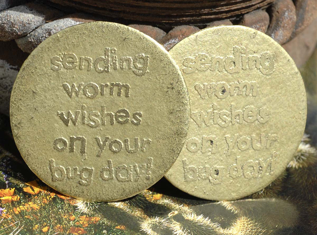 Sending Worm Wishes on your Birthday Disc Acid Etched Pair 45mm Brass