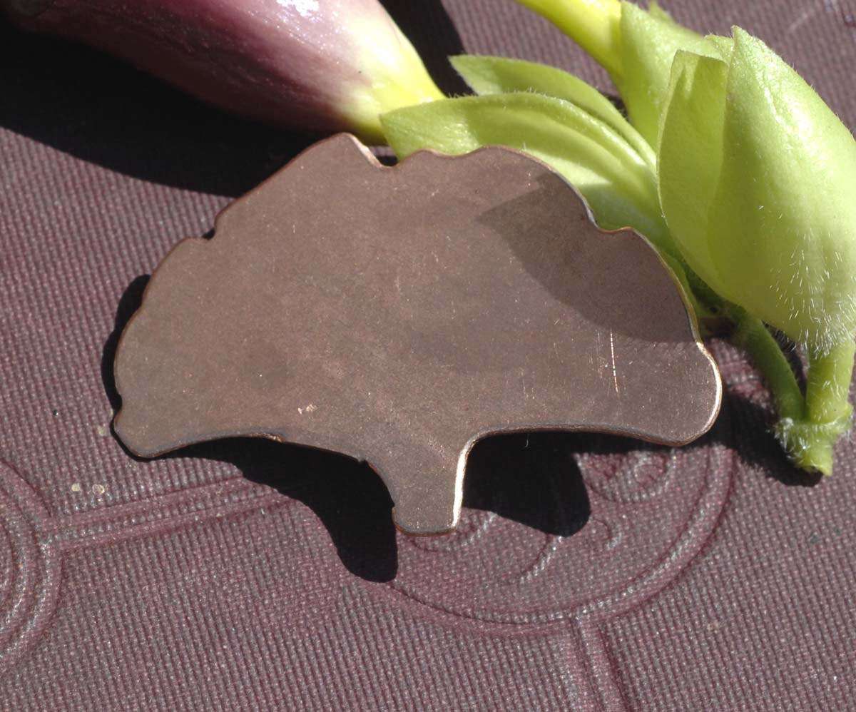 Medium Ginkgo Leaf Blanks Shape for Enameling Metalworking Polished Blanks Variety of Metals, 3 Pieces