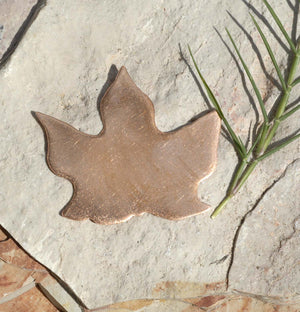 Maple Leaf for Enameling Stamping Texturing Blanks- Variety of Metals