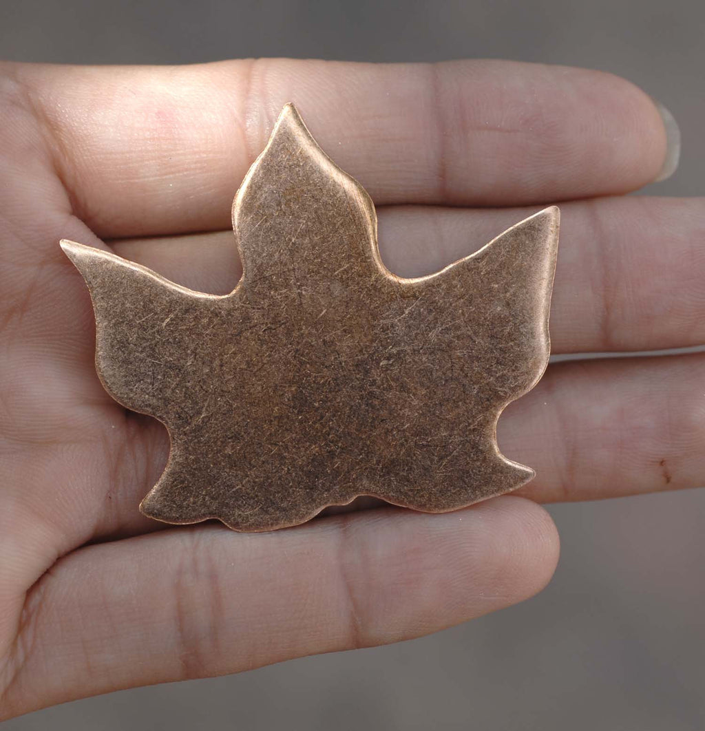 Maple Leaf for Enameling Stamping Texturing Blanks- Variety of Metals