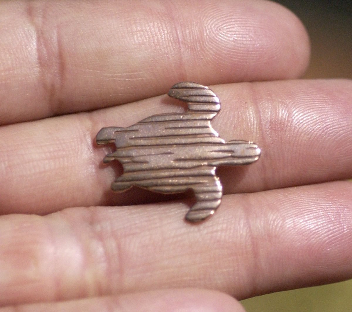 Woodgrain Pattern Turtle 20mm x 23mm for Blanks Enameling Stamping Texturing Variety of Metals