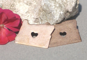 Oregon State Cutout Chubby Heart Blanks for Enameling Metalworking Stamping Texturing Blank Vaiety of Metals