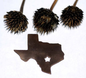 Texas - USA State Blanks